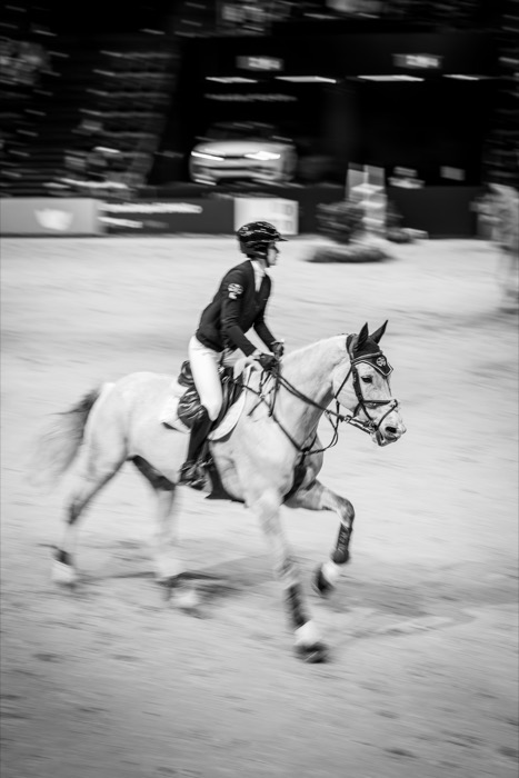 Competition photo, 2026 — #7