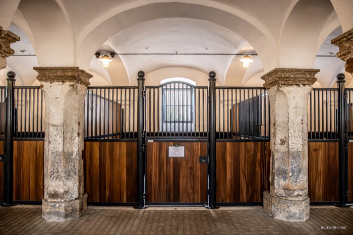 Empty stalls of wood and iron beneath the vaulted ceiling