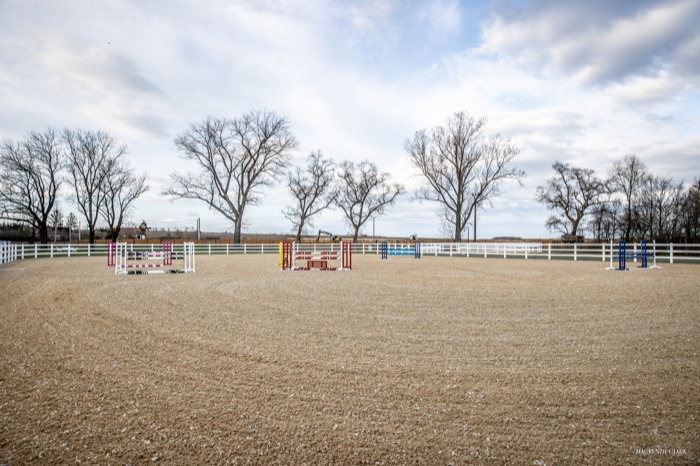 The outdoor arena and jump course, framed by mature trees