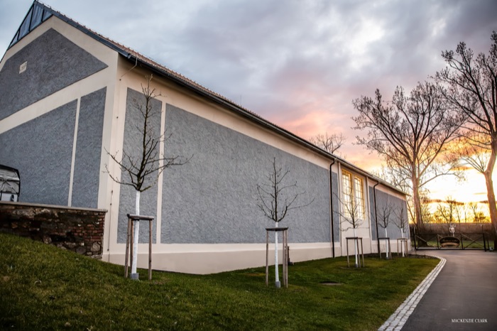 Exterior stable wall at sunset, with newly planted trees